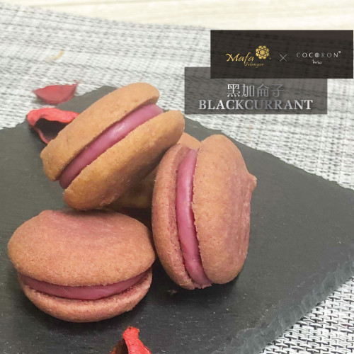 【黑加侖子口味】馬妃雪蘭 x Cocoron trio 黑加侖子曲巧奇禮盒裝