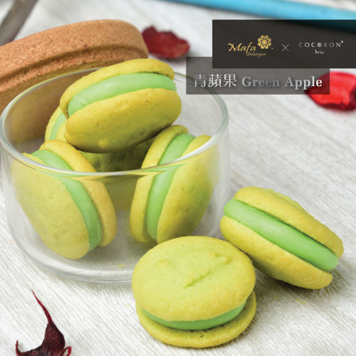 【青蘋果口味】馬妃雪蘭 x Cocoron trio 青蘋果曲巧奇禮盒裝
