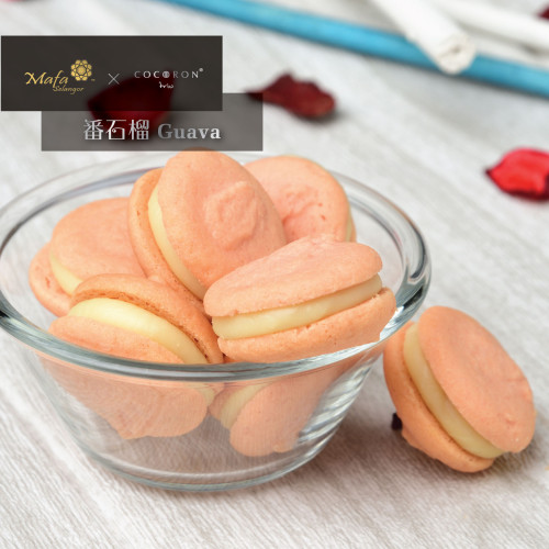 【番石榴口味】馬妃雪蘭 x Cocoron trio 番石榴曲巧奇禮盒裝